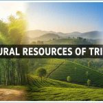 Natural Resources of Tripura Paragraph Natural Resources of Tripura